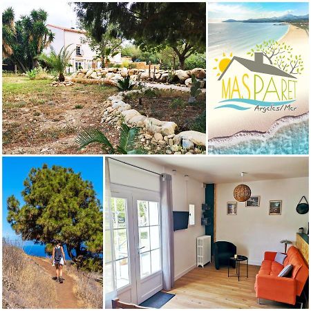Mas Paret Studio Plein Sud - Parc 1 Ha Au Calme Argelès-sur-Mer Kültér fotó