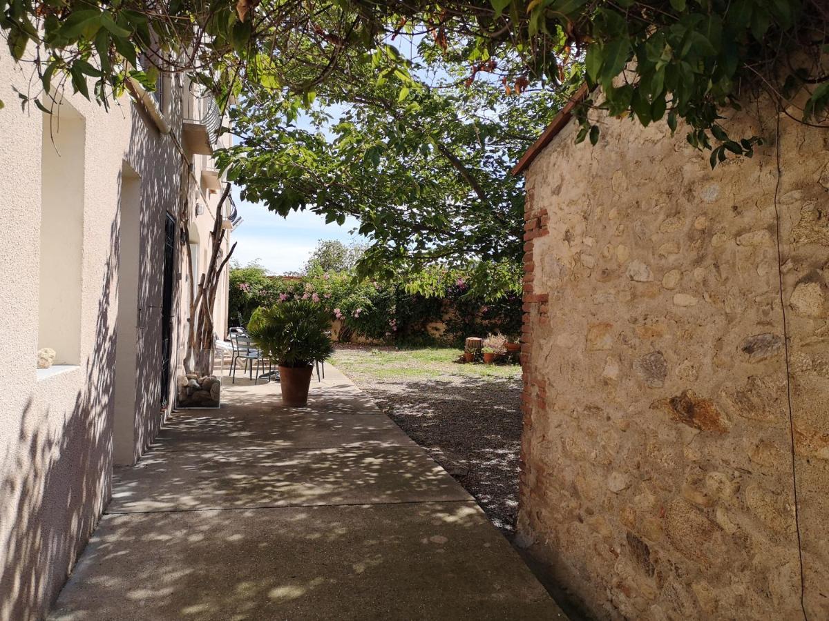 Mas Paret Studio Plein Sud - Parc 1 Ha Au Calme Argelès-sur-Mer Kültér fotó